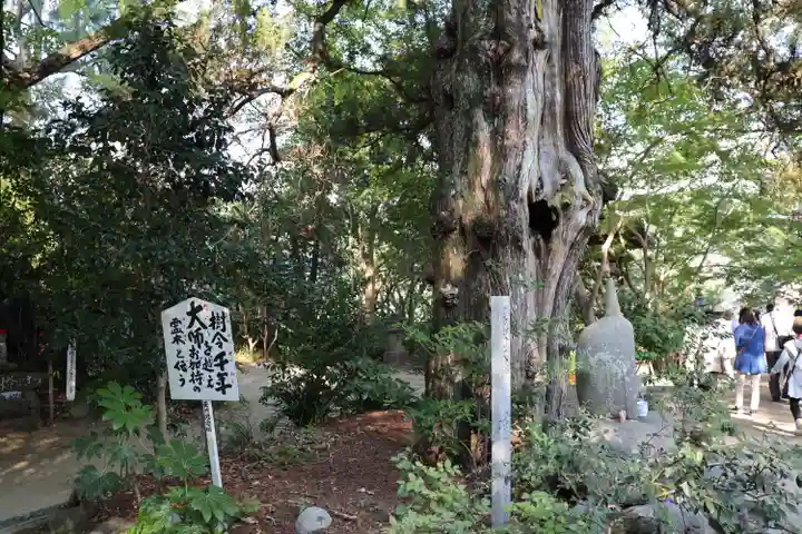 浄瑠璃寺のその他建物
