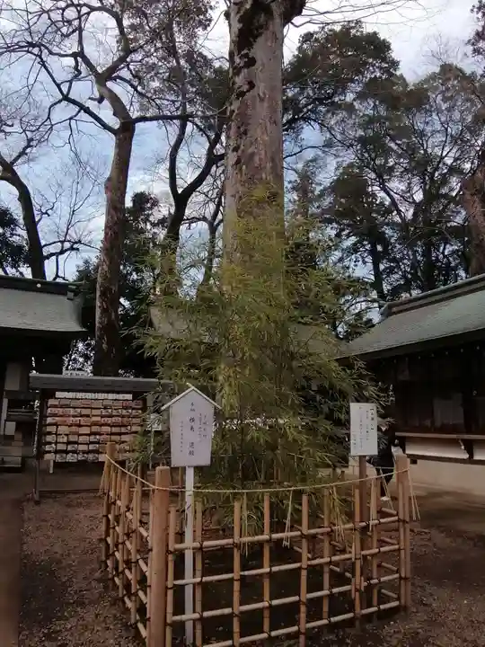 一言主神社の自然