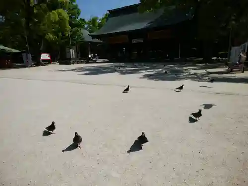 筥崎宮(福岡県)