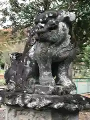 熊野神社の狛犬