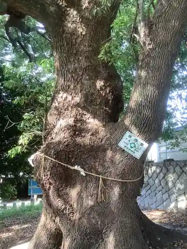 和爾良神社の自然