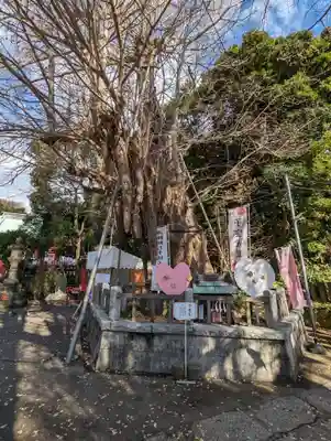 海南神社(神奈川県)