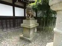 京都乃木神社の狛犬