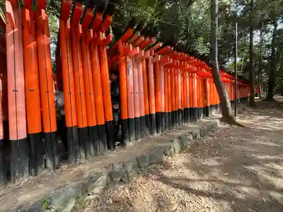 伏見稲荷大社(京都府)