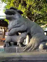 本郷氷川神社の狛犬