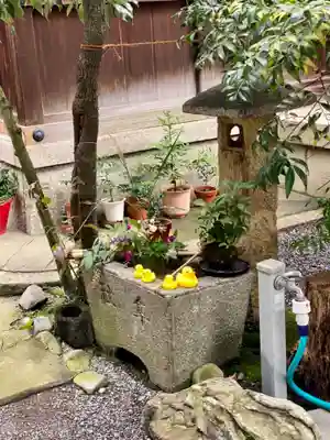 元祇園梛神社・隼神社の手水舎