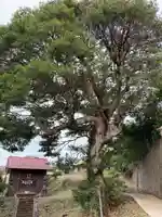 嚴嶋神社のその他建物