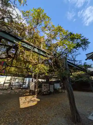 國領神社(東京都)