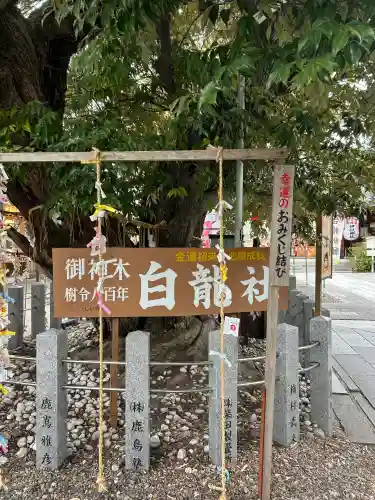 伊奴神社の{uncategorized: "未分類", other: "その他", undefined: "問題あり", building: "その他建物", grave: "お墓", sacred_gate: "鳥居", guardian: "狛犬", statue: "像", buddha: "仏像", history: "歴史", nature: "自然", garden: "庭園", animal: "動物", pagoda: "塔", temizu: "手水舎", mountain_gate: "山門・神門", sanctuary: "本殿・本堂", subordinate: "末社・摂社", art: "芸術", scenery: "景色", jizo: "地蔵", ema: "絵馬", goshuin: "御朱印", omikuji: "おみくじ", items: "授与品その他", amulet: "お守り", goshuincho: "御朱印帳", eats: "食事", festival: "お祭り", votive_dance: "神楽", shichigosan: "七五三参", wedding: "結婚式", experience: "体験その他", initially: "初詣", around: "周辺", anti_infection: "感染症対策"}