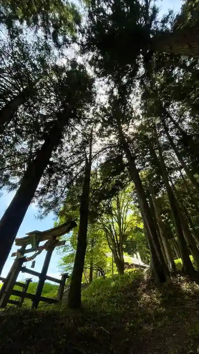 子檀嶺神社(長野県)