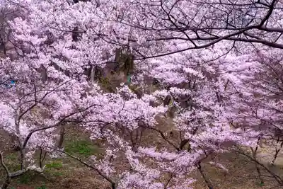 新城藤原神社(長野県)