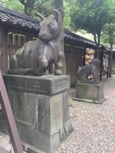 牛嶋神社の狛犬