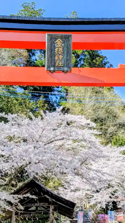 金櫻神社の{uncategorized: "未分類", other: "その他", undefined: "問題あり", building: "その他建物", grave: "お墓", sacred_gate: "鳥居", guardian: "狛犬", statue: "像", buddha: "仏像", history: "歴史", nature: "自然", garden: "庭園", animal: "動物", pagoda: "塔", temizu: "手水舎", mountain_gate: "山門・神門", sanctuary: "本殿・本堂", subordinate: "末社・摂社", art: "芸術", scenery: "景色", jizo: "地蔵", ema: "絵馬", goshuin: "御朱印", omikuji: "おみくじ", items: "授与品その他", amulet: "お守り", goshuincho: "御朱印帳", eats: "食事", festival: "お祭り", votive_dance: "神楽", shichigosan: "七五三参", wedding: "結婚式", experience: "体験その他", initially: "初詣", around: "周辺", anti_infection: "感染症対策"}