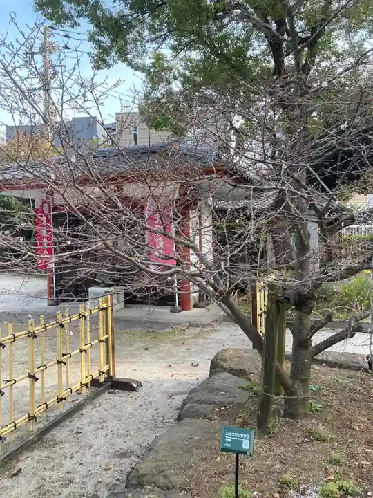 瀧泉寺(目黒不動尊)(東京都)