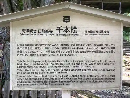 日龍峯寺(高澤観音)(美濃清水)(岐阜県)
