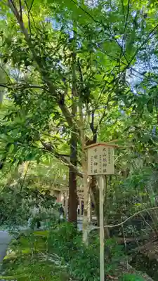 伊勢神宮内宮（皇大神宮）(三重県)