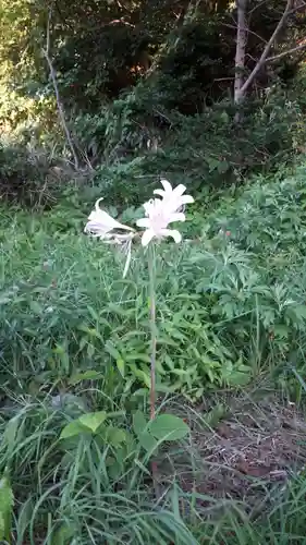 神威神社の自然