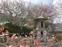 林渓寺(兵庫県)