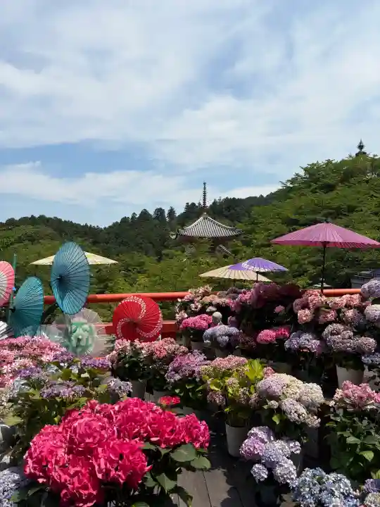 南法華寺(壷阪寺)(奈良県)
