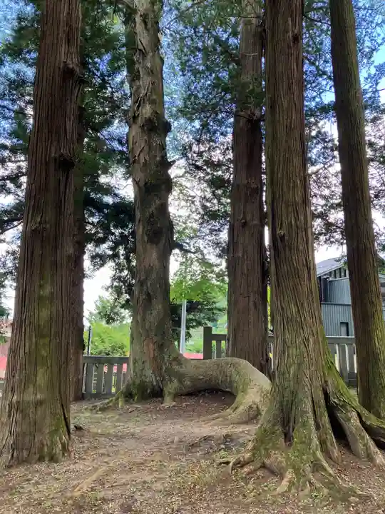 諏訪大社(長野県)