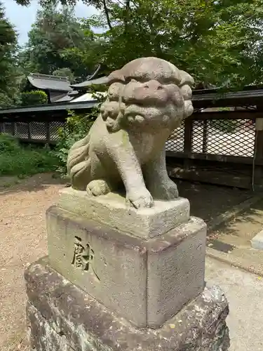 須賀神社の狛犬