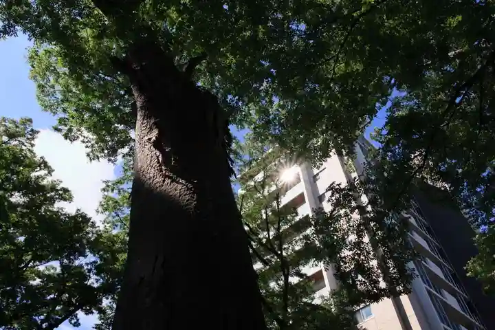 愛宕神社の景色