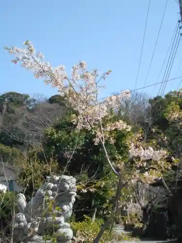 五所神社の狛犬