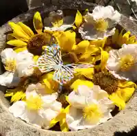 真言宗 善通寺派 薬王寺(香川県)