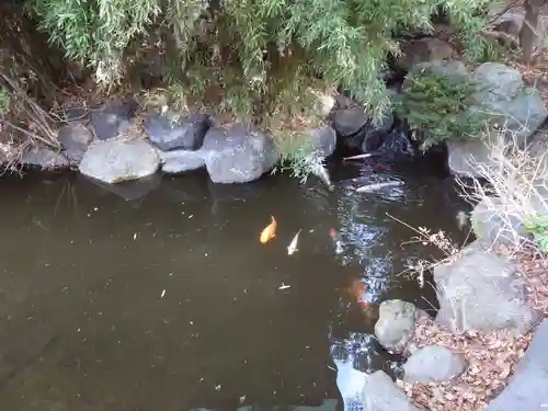 富知六所浅間神社の庭園