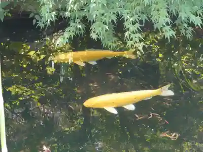 宇賀神社(神奈川県)