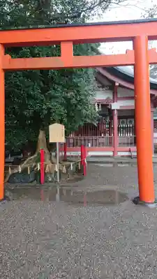 津島神社の末社・摂社