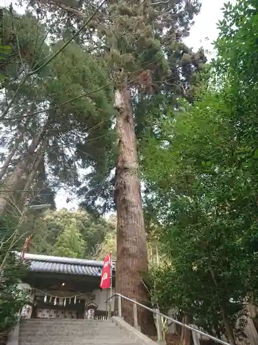 田間神社の自然