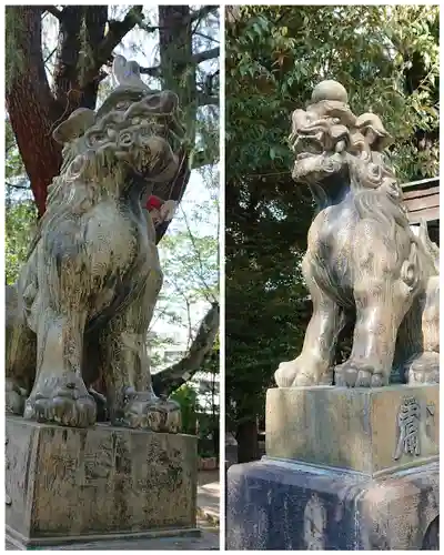 青山熊野神社の狛犬