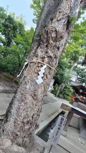 大将軍八神社(京都府)