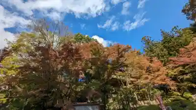 今熊野観音寺(京都府)