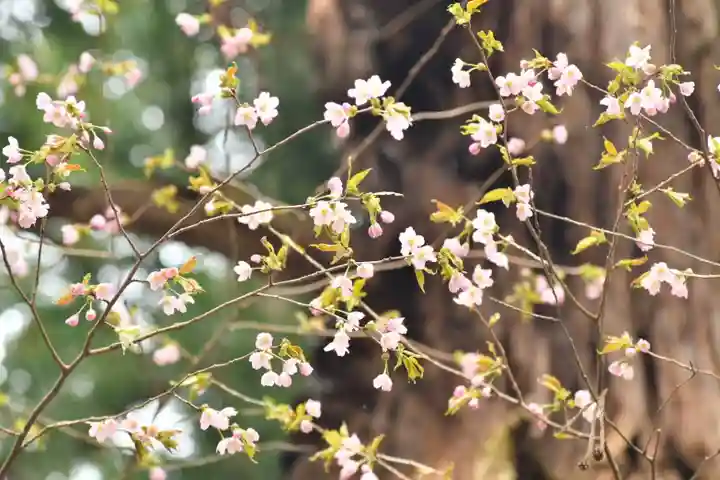 磐椅神社(福島県)
