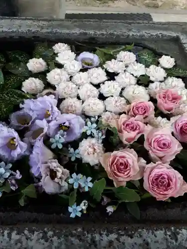 総願寺の手水舎