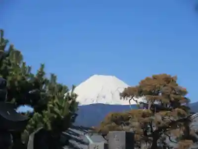 松蔭寺(静岡県)