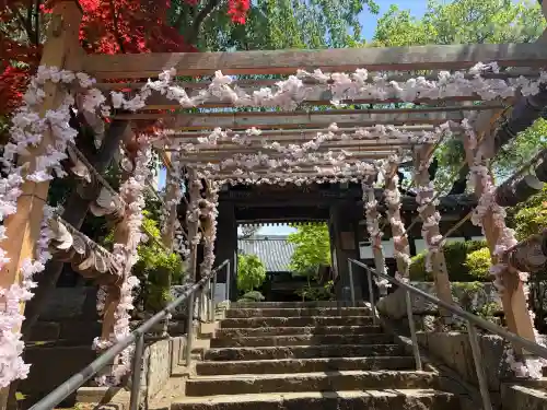 法輪寺の{uncategorized: "未分類", other: "その他", undefined: "問題あり", building: "その他建物", grave: "お墓", sacred_gate: "鳥居", guardian: "狛犬", statue: "像", buddha: "仏像", history: "歴史", nature: "自然", garden: "庭園", animal: "動物", pagoda: "塔", temizu: "手水舎", mountain_gate: "山門・神門", sanctuary: "本殿・本堂", subordinate: "末社・摂社", art: "芸術", scenery: "景色", jizo: "地蔵", ema: "絵馬", goshuin: "御朱印", omikuji: "おみくじ", items: "授与品その他", amulet: "お守り", goshuincho: "御朱印帳", eats: "食事", festival: "お祭り", votive_dance: "神楽", shichigosan: "七五三参", wedding: "結婚式", experience: "体験その他", initially: "初詣", around: "周辺", anti_infection: "感染症対策"}