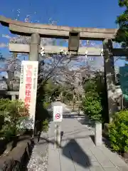 鳩森八幡神社の鳥居