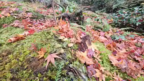 三千院門跡(京都府)