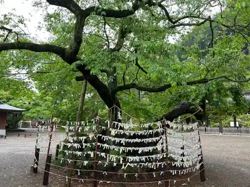 高麗神社(埼玉県)