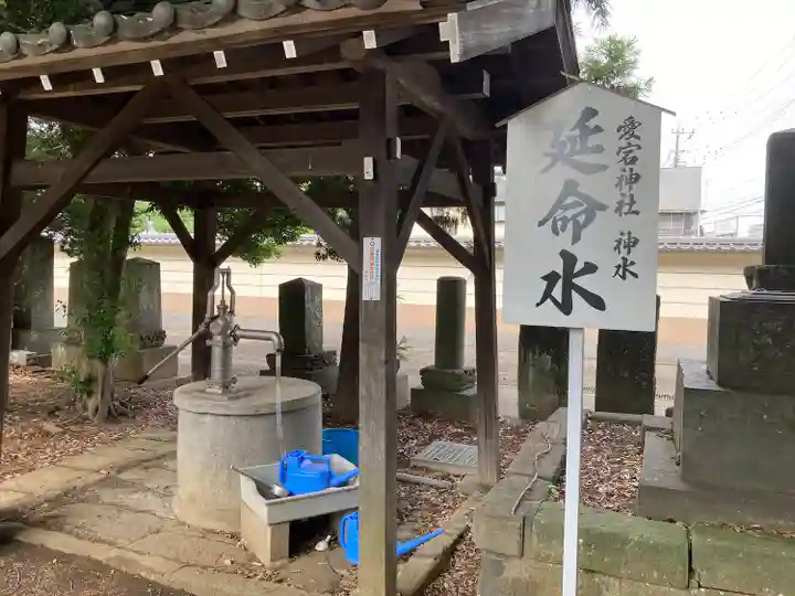 下総野田愛宕神社(千葉県)