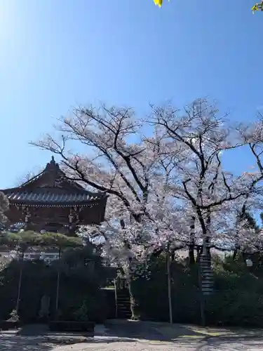 福蔵院(東京都)