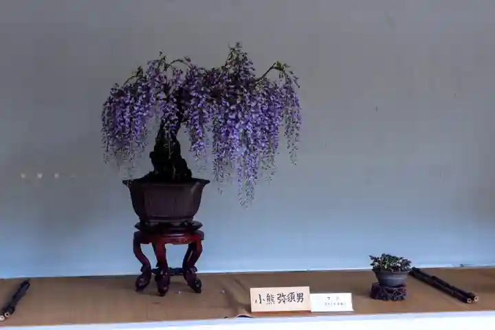 彌彦神社の自然