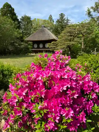 春日大社(奈良県)