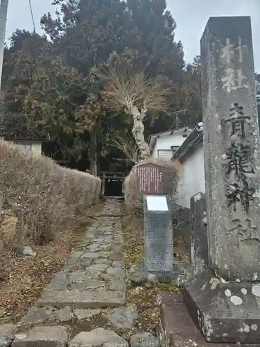 青龍神社(栃木県)