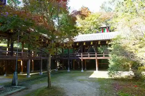 光明寺（粟生光明寺）の庭園