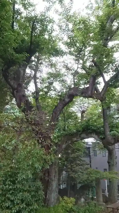 本郷氷川神社(東京都)