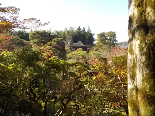 慈照寺（慈照禅寺・銀閣寺）の景色